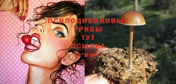СК Алексеевка